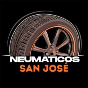 NEUMATICOS SAN JOSE